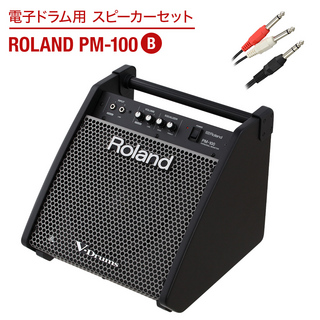 Roland 電子ドラム用 スピーカーセット PM-100 B 【繋いですぐに音が出せる】