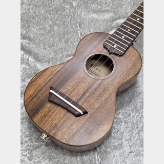 G-Labo DISH-1 TS15F【エレウク】【薄型】