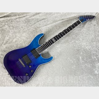 E-II、Horizon NT-IIの検索結果【楽器検索デジマート】