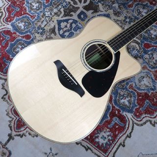 アコースティックギター／エレクトリック・アコースティックギター