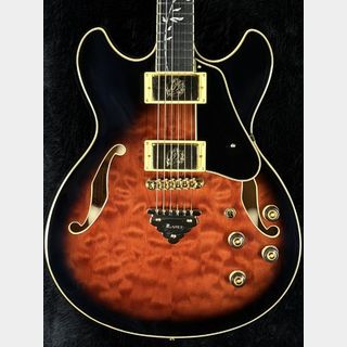 エレクトリックギター、Ibanez、セミアコの検索結果【楽器検索デジマート】