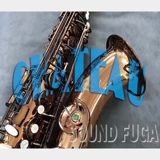 サックス／サクソフォン／サキソフォン ＞ テナー・サックスの検索結果