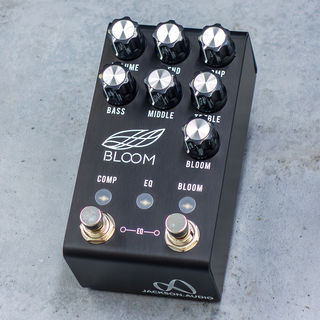 JACKSON AUDIO BLOOM V2 MIDI【オリジナルBLOOMの特徴を受け継いだ1台】