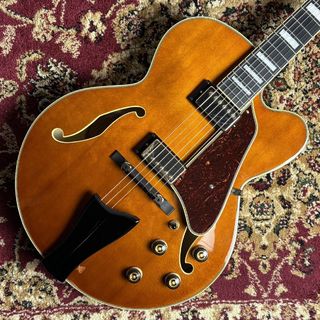 エレクトリックギター ＞ フルアコ、Ibanezの検索結果【楽器検索