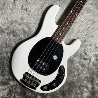 Sterling by MUSIC MAN RAY34/R