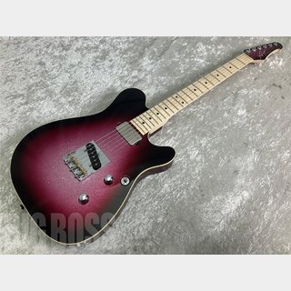 Addictone Custom Guitars ARENA ECHO TL bridge(Crimson sparkle burst)