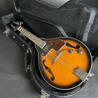 ARIA AM-20E(エレキマンドリン)