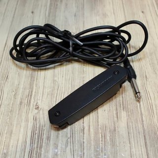 FISHMAN NEO-D HUM/Humbucking Magnetic Soundhole Pickup 【心斎橋店】