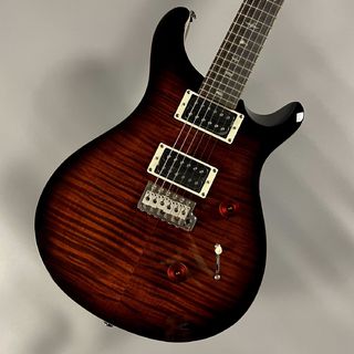 Paul Reed Smith(PRS) SE CUSTOM 24 エレキギター