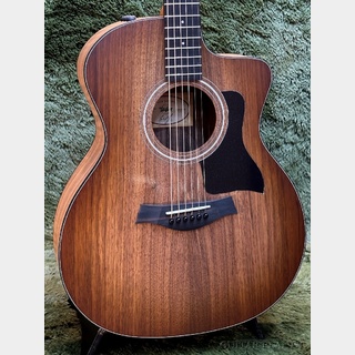 Taylor 124ce Special Edition -Walnut Top- #2208103033【48回迄金利0%対象】【送料当社負担】