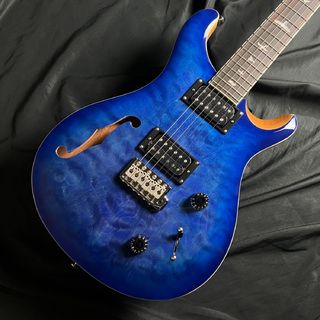 Paul Reed Smith(PRS)、SE custom22の検索結果【楽器検索
