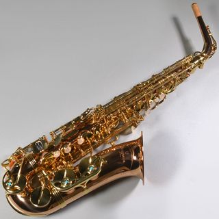 YANAGISAWA A-WO2 アルトサックス