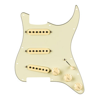 Fender Fender Pre-Wired Strat Pickguard Eric Johnson Signature Mint Green 11 Hole PG ピックアップセット