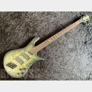 Spector NS Dimension 4【Haunted Moss Matte】