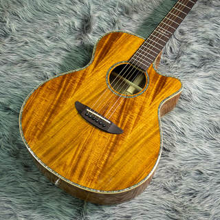 アコースティックギター／エレクトリック・アコースティックギター