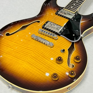 SCHECTER R-SW-260 Tobacco Sunburst