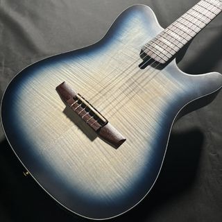 Ibanez FRH20FMN エレガットギター【現物画像】