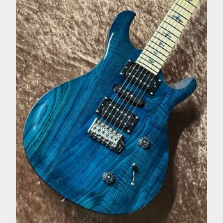 PRS、SE Swamp Ash Specialの検索結果【楽器検索デジマート】