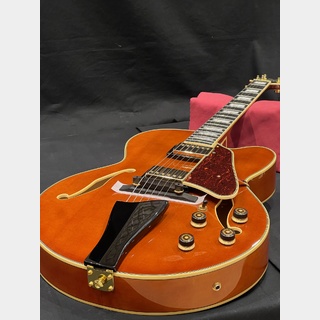 Ibanez Ibanez Artcore Expressionist AF95-DA (Dark Amber)