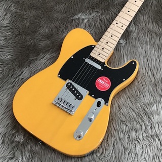 Squier by Fender SONIC TELECASTER Maple Fingerboard Black Pickguard/Butterscotch Blonde/テレキャスター