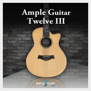 AMPLE SOUND AMPLE GUITAR TWELVE III
