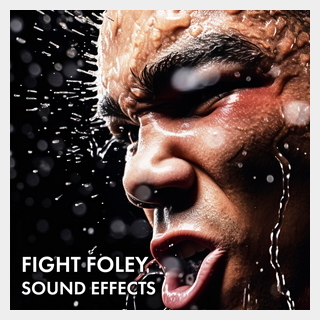 SOUND IDEAS FIGHT FOLEY SOUND EFFECTS