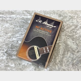 L.R.Baggs M1 Active