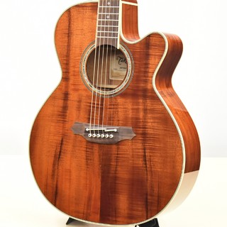 Takamineの検索結果【楽器検索デジマート】