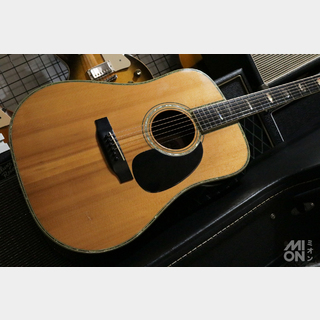 アコースティックギター、Morris、W-100の検索結果【楽器検索デジマート】