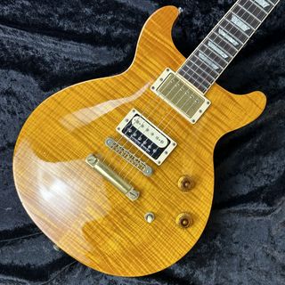 Gibson Les Paul Standard DC Plus