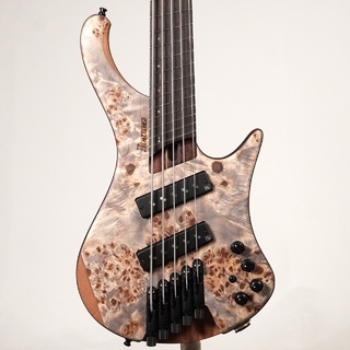 エレクトリック・ベース、Ibanez、EHBの検索結果【楽器検索デジマート】