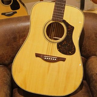 アコースティックギター／エレクトリック・アコースティックギター