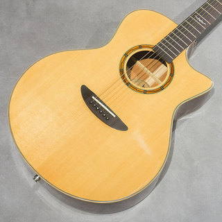 アコースティックギター／エレクトリック・アコースティックギター