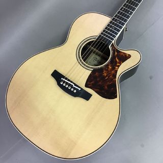 Takamine DMP50S NAT 【現物画像】