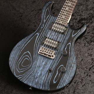 PRS SESE Swamp Ash CE24“Sandblasted”Limited Sandblasted Blue【御茶ノ水本店】