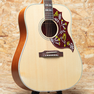 Gibson Hummingbird Faded