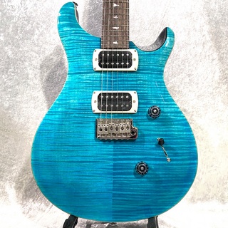 PRS SE Custom 24 seriesの検索結果【楽器検索デジマート】