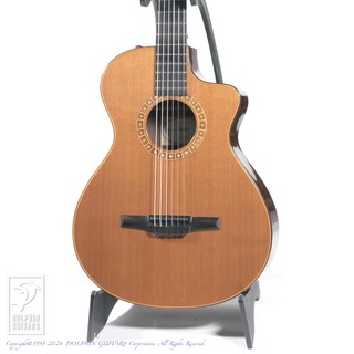 Taylor NS72-ce JPN LTD