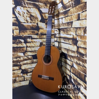 クラシック・ギター／フラメンコ・ギター、Antonio Sanchezの検索結果