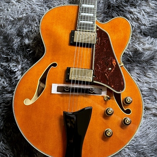 エレクトリックギター ＞ セミアコ、Ibanezの検索結果【楽器検索