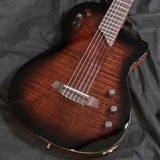 エレガットギターの検索結果【楽器検索デジマート】