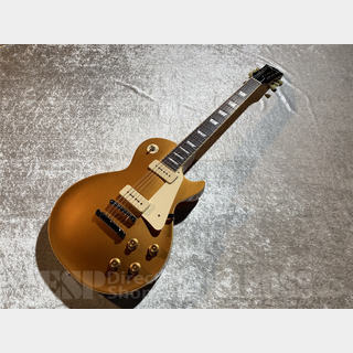 EDWARDS E-LP-STD/P (Gold Top)