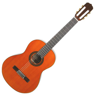 ARIAA-20 クラシックギター 650mm 杉単板／サペリ ソフトケース付き