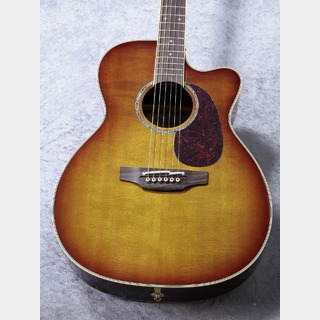 エレクトリック・アコースティックギター、Takamineの検索結果