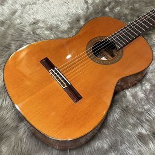 ARIA AC-50A【現物画像】