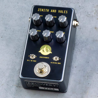 Recovery Effects and DevicesZENITH AND VALES【2026 NEW YEAR BLACK SALE】