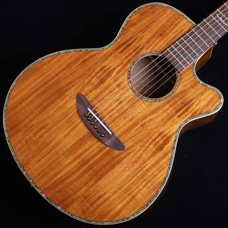 アコースティックギター／エレクトリック・アコースティックギター