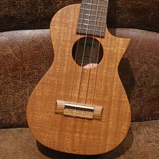 ASTURIAS Maho DSH 30th Anni.【30本限定】【現物画像】