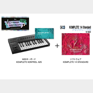 NATIVE INSTRUMENTS KOMPLETE KONTROL A25+KOMPLETE14 STANDARD 特別バンドル