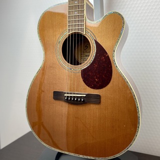 Greg Bennett OM-8CE